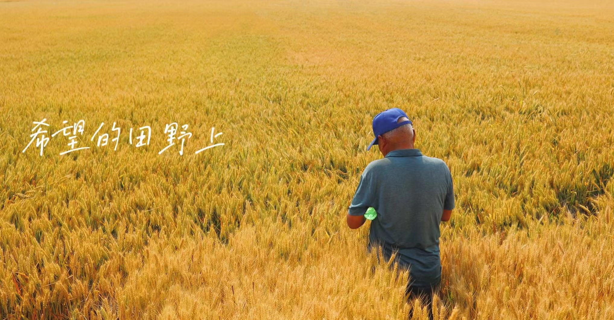 紵ˣ  ----Сũһֱж