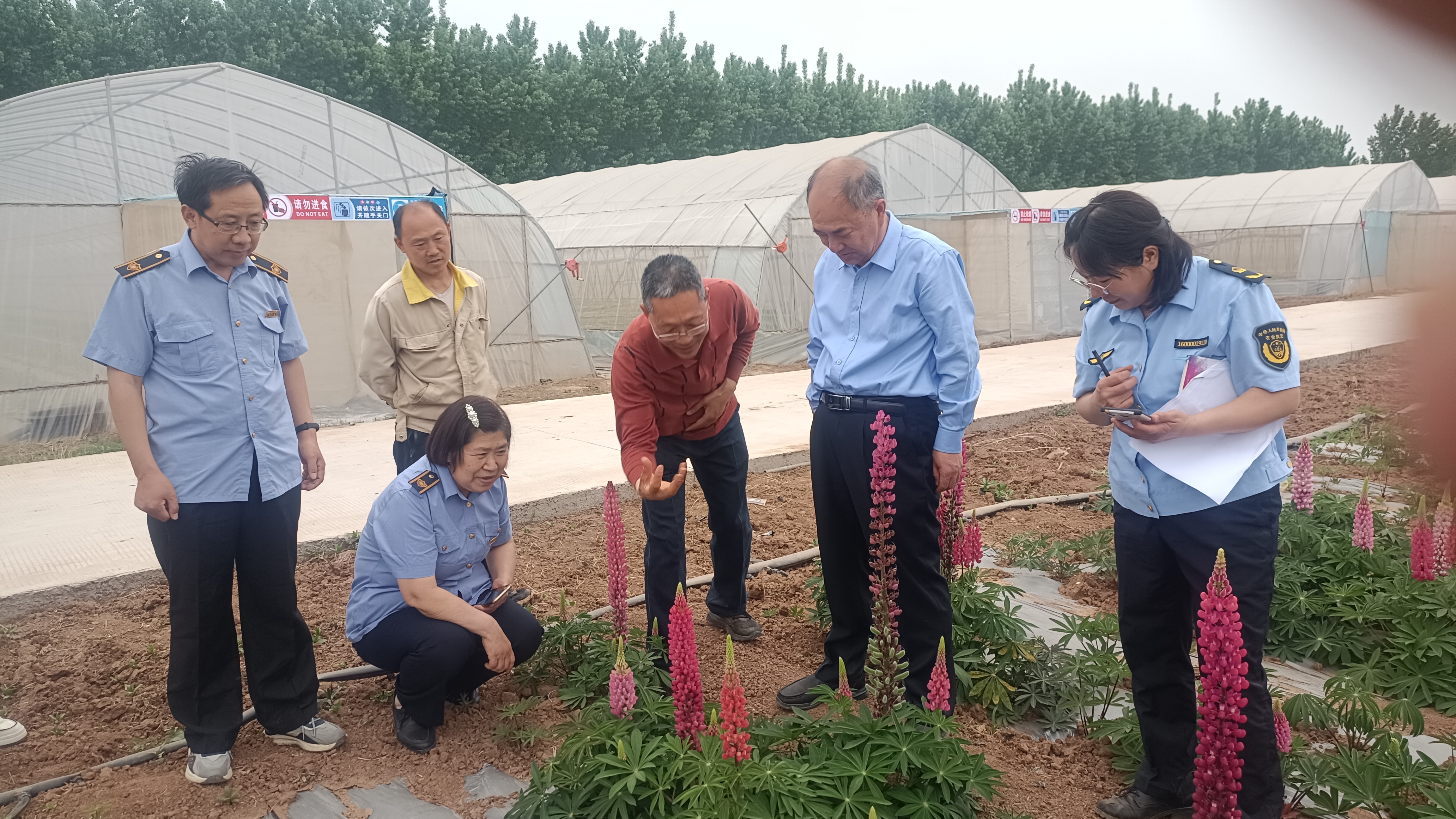 河南省植物保护检疫站韩世平副站长一行莅临济源示范区 开展产地检疫 河南省植保新技术推广网 